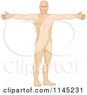 Clipart Of A Human Anatomy Man Holding His Arms Out Royalty Free Vector Illustration by patrimonio