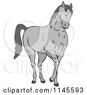 Poster, Art Print Of Gray Horse