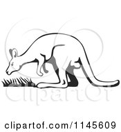 Poster, Art Print Of Black And White Kangaroo With Grass