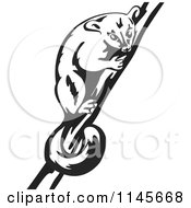 Clipart Of A Retro Black And White Possum On A Branch Royalty Free Vector Illustration by patrimonio