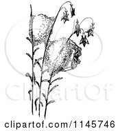 Clipart Of A Retro Vintage Black And White Spider And Silk Cocoon Royalty Free Vector Illustration