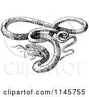 Clipart Of A Retro Vintage Black And White Vicious Snake Royalty Free Vector Illustration