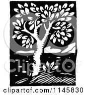 Clipart Of A Retro Vintage Black And White Tree Royalty Free Vector Illustration