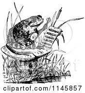 Retro Vintage Black And White Frog Playing A Banjo On A Mushroom