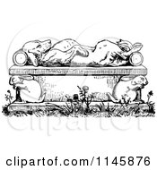 Retro Vintage Black And White Dead Or Sleeping Dog On A Rabbit Bench