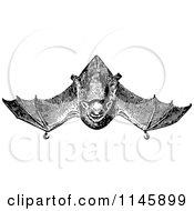 Clipart Of A Retro Vintage Black And White Vampire Bat Flying Royalty Free Vector Illustration