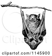 Clipart Of A Retro Vintage Black And White Bat Hanging In A Tree Royalty Free Vector Illustration by Prawny Vintage