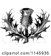 Clipart Of A Retro Vintage Black And White Thistle Flower Royalty Free Vector Illustration by Prawny Vintage #COLLC1145935-0178
