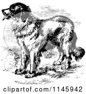 Clipart Of A Retro Vintage Black And White Dog Royalty Free Vector Illustration