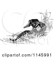 Poster, Art Print Of Retro Vintage Black And White Crocodile Sitting