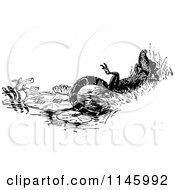 Clipart Of A Retro Vintage Black And White Crocodile Resting Royalty Free Vector Illustration by Prawny Vintage