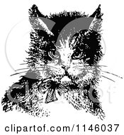 Poster, Art Print Of Retro Vintage Black And White Cat Wearing A Bow