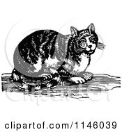 Poster, Art Print Of Retro Vintage Black And White Tabby Cat