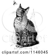 Poster, Art Print Of Retro Vintage Black And White Sitting Cat Watching A Fly