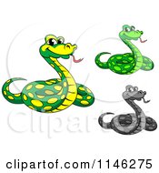 Clipart Of Phython Snakes Royalty Free Vector Illustration