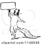 Poster, Art Print Of Retro Vintage Black And White Squirrel Holding A Sign