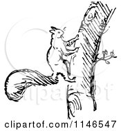 Clipart Of A Retro Vintage Black And White Squirrel Climbing A Tree Royalty Free Vector Illustration