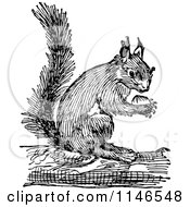 Clipart Of A Retro Vintage Black And White Squirrel Holding A Nut 2 Royalty Free Vector Illustration