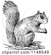 Clipart Of A Retro Vintage Black And White Squirrel Holding A Nut Royalty Free Vector Illustration