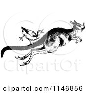 Poster, Art Print Of Retro Vintage Black And White Duck Riding A Kangaroo