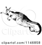 Poster, Art Print Of Retro Vintage Black And White Kangaroo Jumping