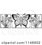 Poster, Art Print Of Retro Vintage Black And White Butterfly And Milkweed Flowers