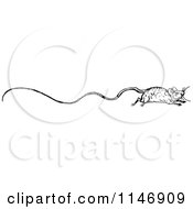 Clipart Of A Retro Vintage Black And White Border Of A Long Tailed Rat Royalty Free Vector Illustration