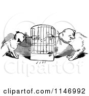 Poster, Art Print Of Retro Vintage Black And White Cats Eating Budgies From A Cage