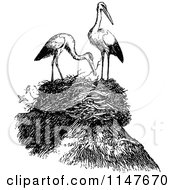 Poster, Art Print Of Retro Vintage Black And White Nest And Herons