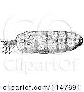 Clipart Of A Retro Vintage Black And White Termite Queen Royalty Free Vector Illustration