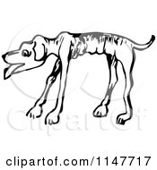 Poster, Art Print Of Retro Vintage Black And White Emaciated Dog