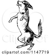 Clipart Of A Retro Vintage Black And White Jumping Dog Royalty Free Vector Illustration