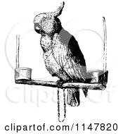Poster, Art Print Of Retro Vintage Black And White Cockatoo Parrot