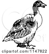 Clipart Of A Retro Vintage Black And White Duck Royalty Free Vector Illustration by Prawny Vintage