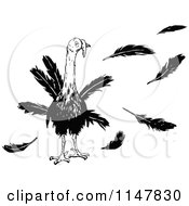 Poster, Art Print Of Retro Vintage Black And White Turkey Bird And Feathers
