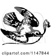 Clipart Of A Retro Vintage Black And White Dove With A Twig Royalty Free Vector Illustration by Prawny Vintage