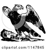 Clipart Of A Retro Vintage Black And White Landing Eagle Royalty Free Vector Illustration by Prawny Vintage