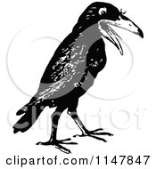 Clipart Of A Retro Vintage Black And White Crow Royalty Free Vector Illustration