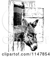 Poster, Art Print Of Retro Vintage Black And White Donkey In A Stall