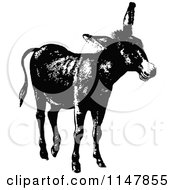 Poster, Art Print Of Retro Vintage Black And White Donkey 2