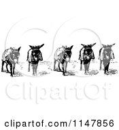 Poster, Art Print Of Retro Vintage Black And White Donkeys