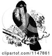 Clipart Of A Retro Vintage Black And White Toucan Royalty Free Vector Illustration
