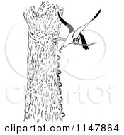 Clipart Of A Retro Vintage Black And White Bird Eating Caterpillars Off Of A Tree Royalty Free Vector Illustration