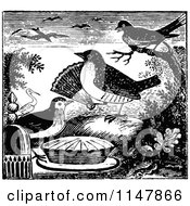 Clipart Of A Retro Vintage Black And White Pie And Birds Royalty Free Vector Illustration