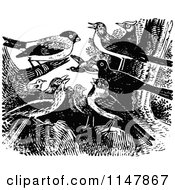 Clipart Of A Retro Vintage Black And White Group Of Birds Royalty Free Vector Illustration
