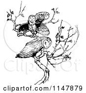 Clipart Of A Retro Vintage Black And White Trio Of Owls On A Branch Royalty Free Vector Illustration by Prawny Vintage