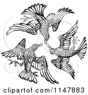 Clipart Of A Retro Vintage Black And White Trio Of Birds Royalty Free Vector Illustration