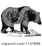 Clipart Of A Retro Vintage Black And White Walking Bear Royalty Free Vector Illustration