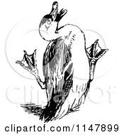 Clipart Of A Retro Vintage Black And White Scared Duck Royalty Free Vector Illustration