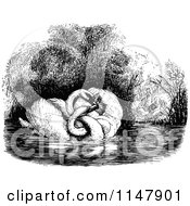 Clipart Of A Retro Vintage Black And White Swan Couple And People By A Pond Royalty Free Vector Illustration
